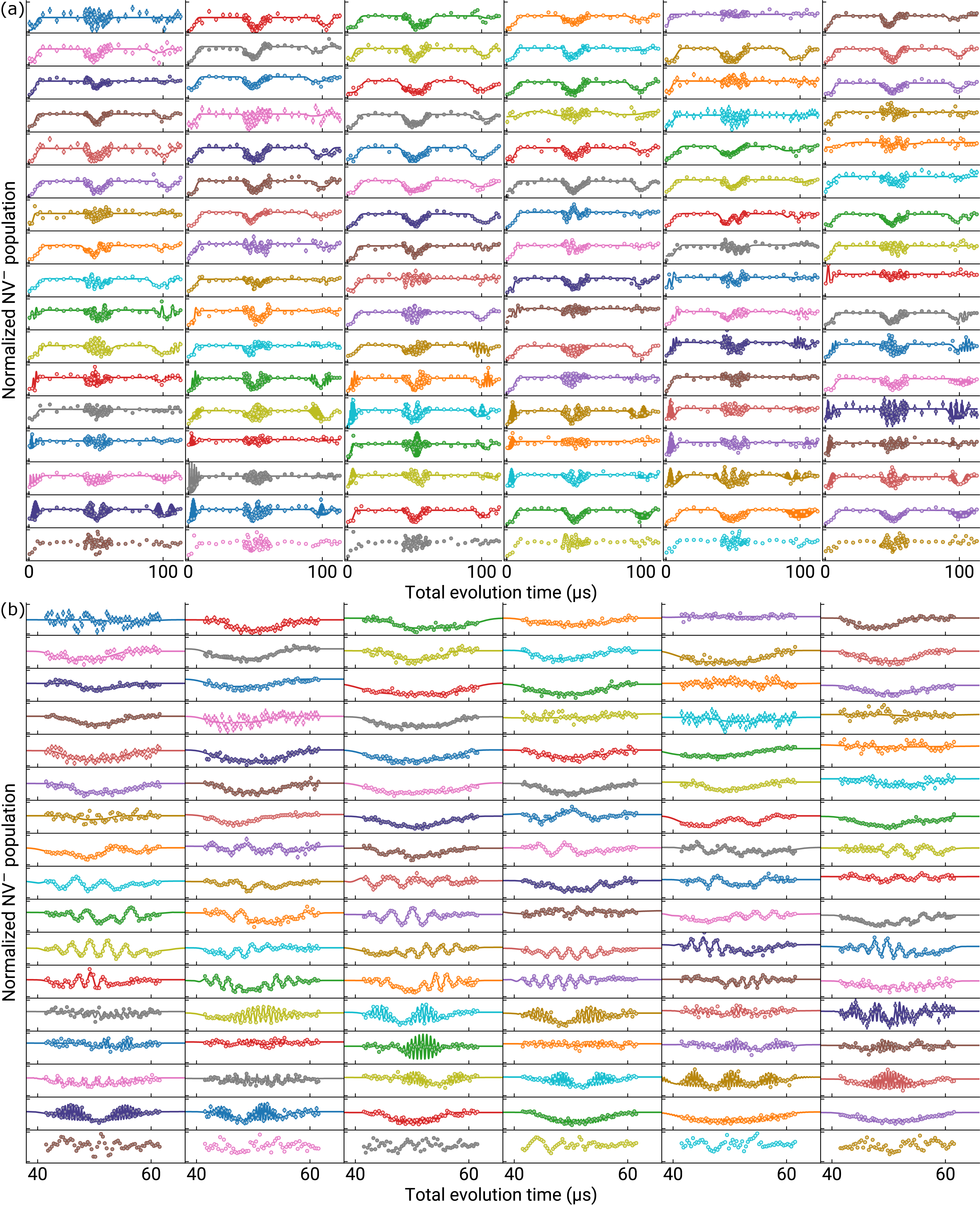 Spin echo traces from NV centers
